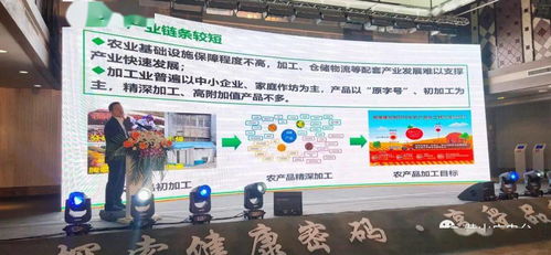 2020中國(guó)黑色食品產(chǎn)業(yè)發(fā)展黟縣峰會(huì)開幕 北京軟件開發(fā)